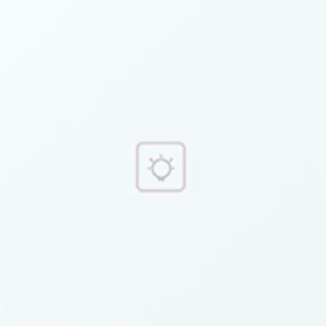 One gang WiFi Light Switch