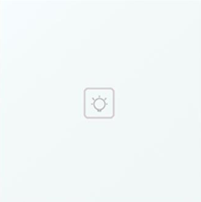 One gang WiFi Light Switch